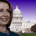 Top 5 Stocks Congress Is Loading Up On